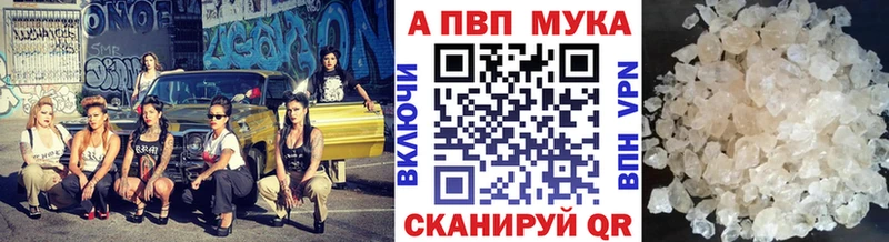 купить закладку  Сясьстрой  omg вход  Alpha PVP кристаллы 