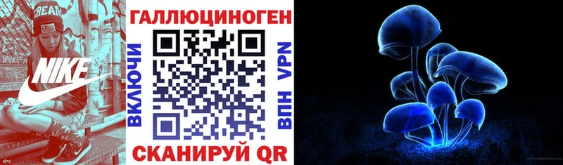 где купить наркотик  Сясьстрой  мориарти как зайти  Галлюциногенные грибы прущие грибы 